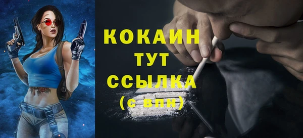 сатива Аркадак