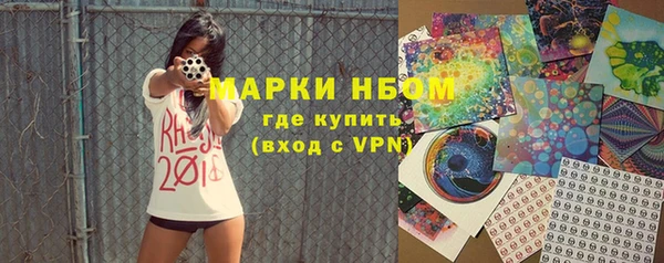 сатива Аркадак