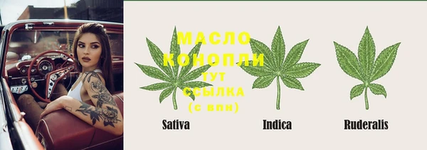сатива Аркадак