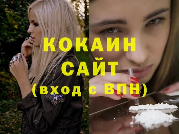 сатива Аркадак