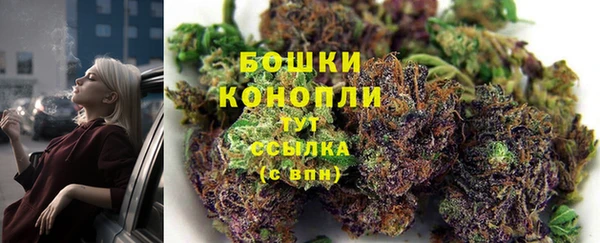 сатива Аркадак
