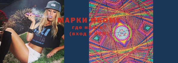 сатива Аркадак