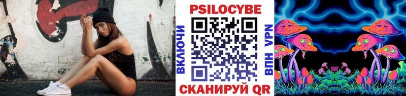 Псилоцибиновые грибы Psilocybe  Новотитаровская 